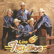 Los tigrillos cover image cdn
