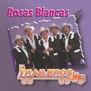 Rosas blancas cover image cdn