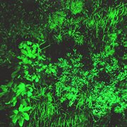 Deaf heat ep cover image cdn