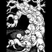 Vernunft ist nichts - gefuhl ist alles cover image cdn