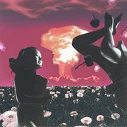 Split cover image cdn