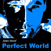Perfect world cover image cdn