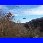 Foxes and trains cover image cdn