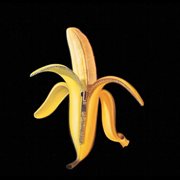 Welcome to the monkey house cover image cdn