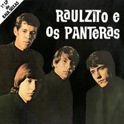 Raulzito e os panteras cover image cdn