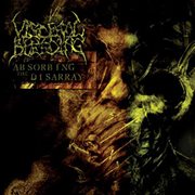 Absorbing the disarray cover image cdn