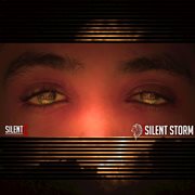 Silent storm cover image cdn
