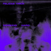 Working hard cover image cdn