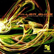 Synthetic vision cover image cdn