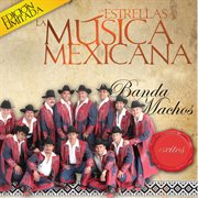 Las estrellas de la musica mexicana cover image cdn