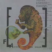 Flavour of the weak cover image cdn