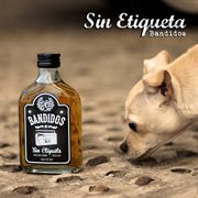 Bandudis cover image cdn