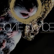 Snakecharmers cover image cdn