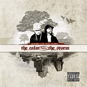 The calm before the storm cover image cdn