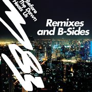 Before the dawn heals us remixes & b-sides cover image cdn