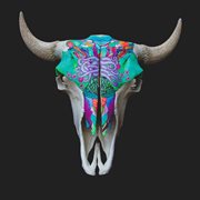 Year of endless light cover image cdn