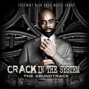 Crack in the system cover image cdn