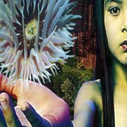 Lifeforms cover image cdn