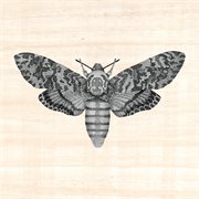 A little scared cover image cdn