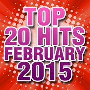 Top 20 hits february 2015 cover image cdn