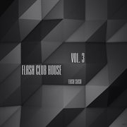 Flash club house, vol. 3 cover image cdn