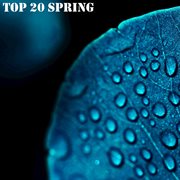 Top 20 spring cover image cdn