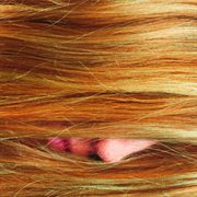 Segundo cover image cdn