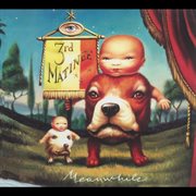 Meanwhile cover image cdn