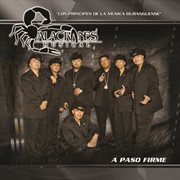A paso firme cover image cdn