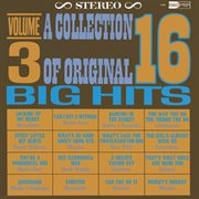 A collection of 16 original big hits vol. 3 cover image cdn