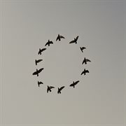 Morality cuts cover image cdn