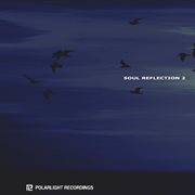 V/a -soul reflection 2 cover image cdn