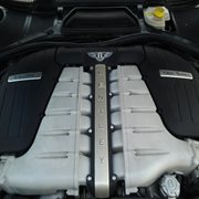 The girls dem best friend cover image cdn