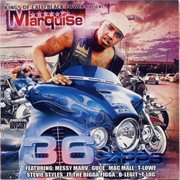 36 zipps cover image cdn