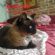 Nothing nice to say cover image cdn