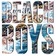 The beach boys cover image cdn