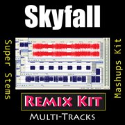 Skyfall (multi tracks tribute to adele) cover image cdn