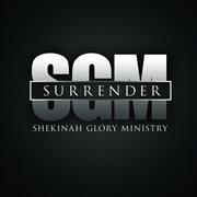 Surrender cover image cdn
