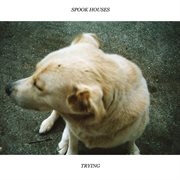 Trying cover image cdn