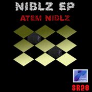 Niblz - ep cover image cdn