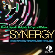 Synergy cover image cdn