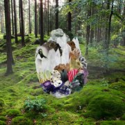 Veil waltz cover image cdn