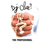 The professional (edited version) cover image cdn