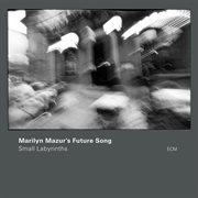 Small labyrinths cover image cdn