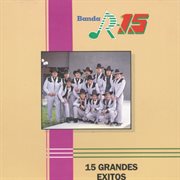 15 grandes exitos cover image cdn