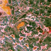 Sugar blind ep cover image cdn