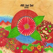 Drom - single cover image cdn