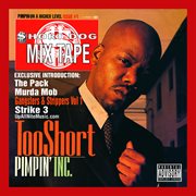 Pimpin incorporated cover image cdn