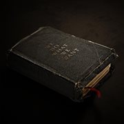 We do what we want cover image cdn