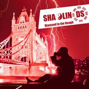 Diamond in the rough cover image cdn